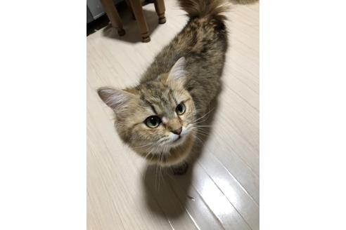 めいちゃん1枚目